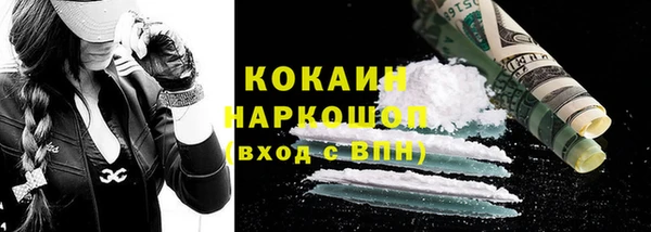 PSILOCYBIN Каменка