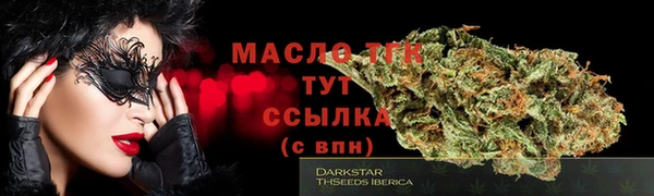 стафф Касимов