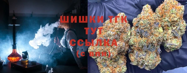 a pvp Карпинск