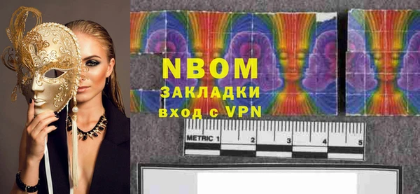 PSILOCYBIN Каменка