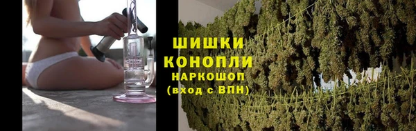 PSILOCYBIN Каменка