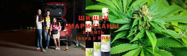стафф Касимов