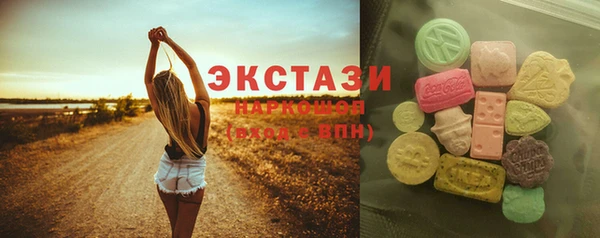 стафф Касимов